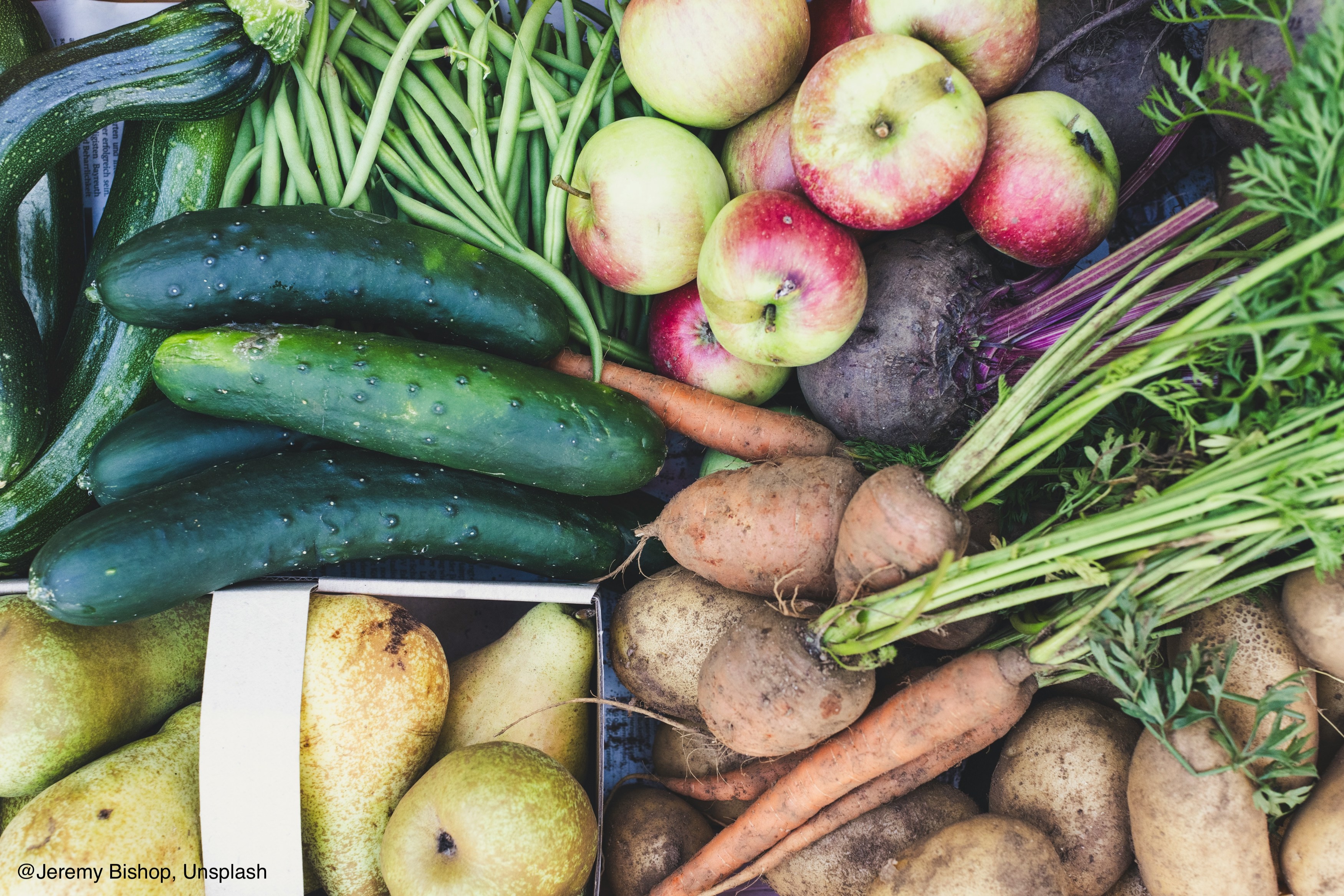 Nachhaltige Gemeinschaftsgastronomie