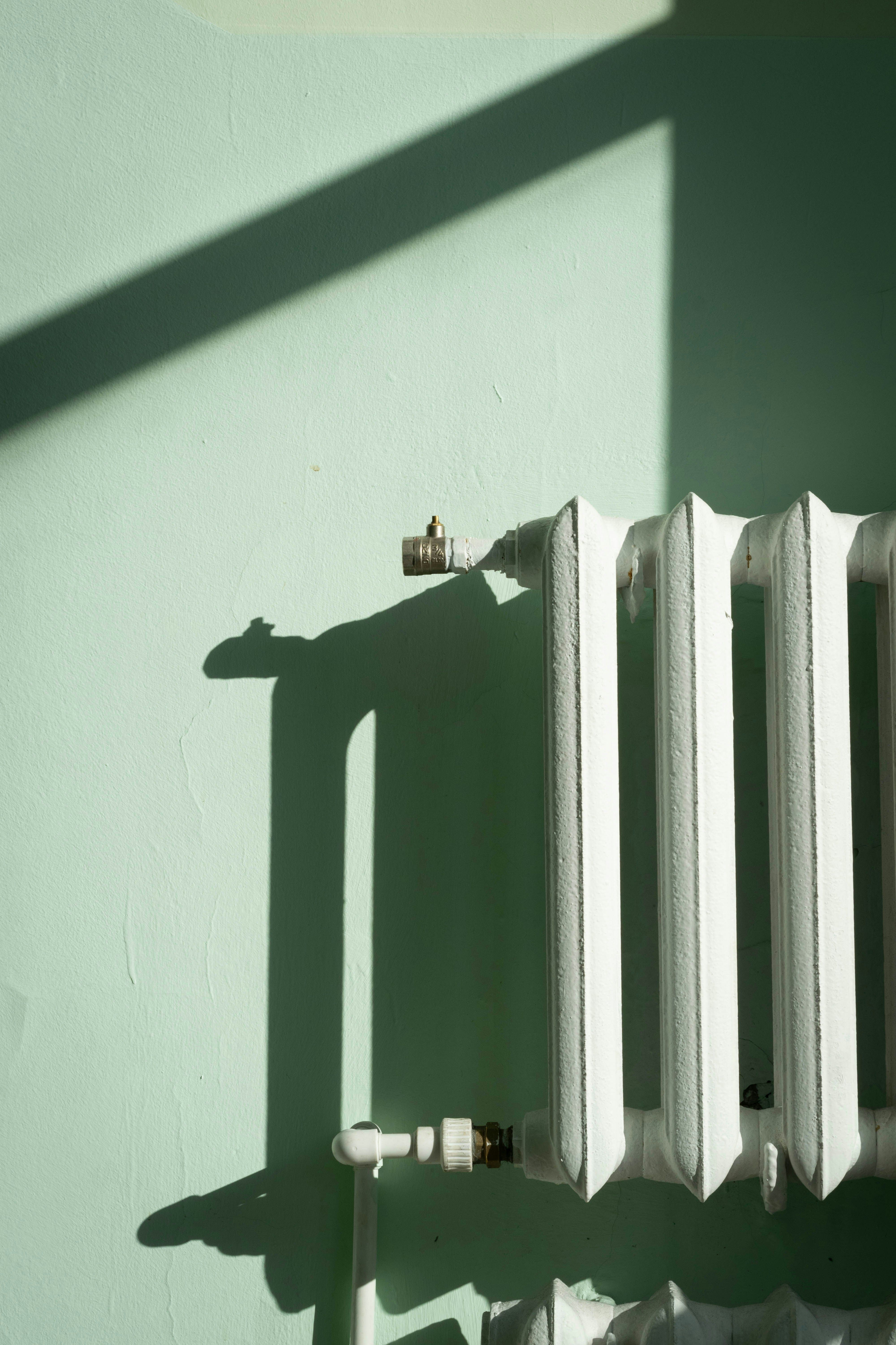 Foto: Andrew Bright (auf Unsplash)